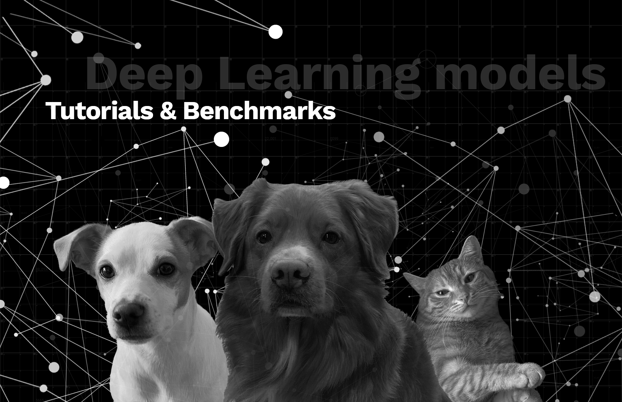 Deployment of Deep Learning models on Genesis Cloud - Tutorials & Benchmarks
