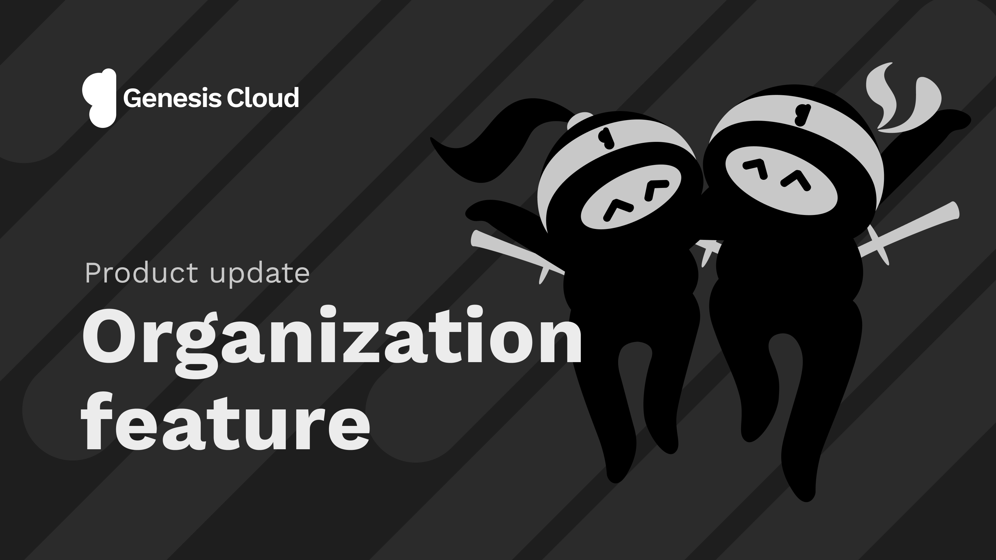 Introducing our new Feature: Organizations and Multi-Projects